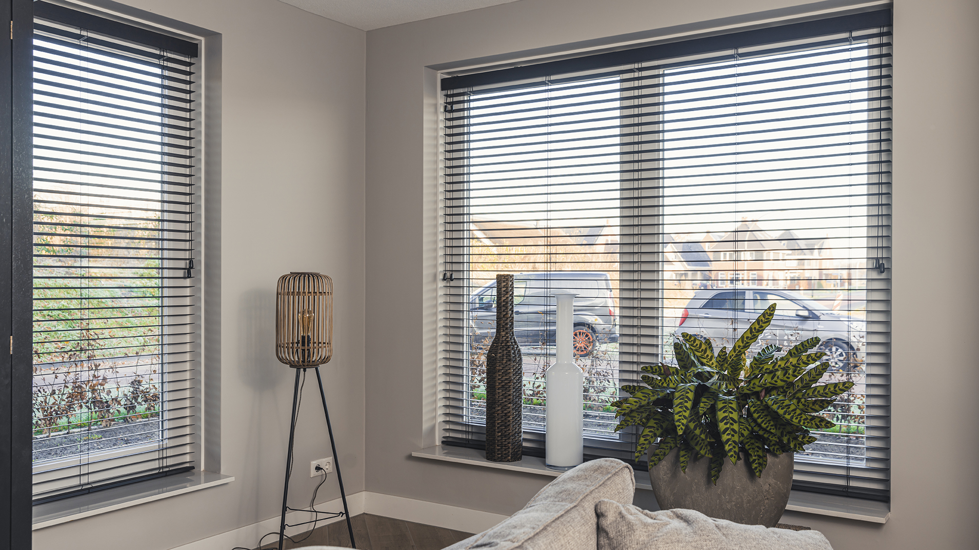 houten ramen van Mahonie